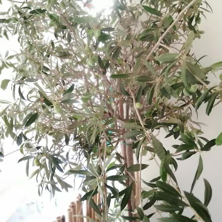 Athens City Center Cozy Apartment Екстериор снимка